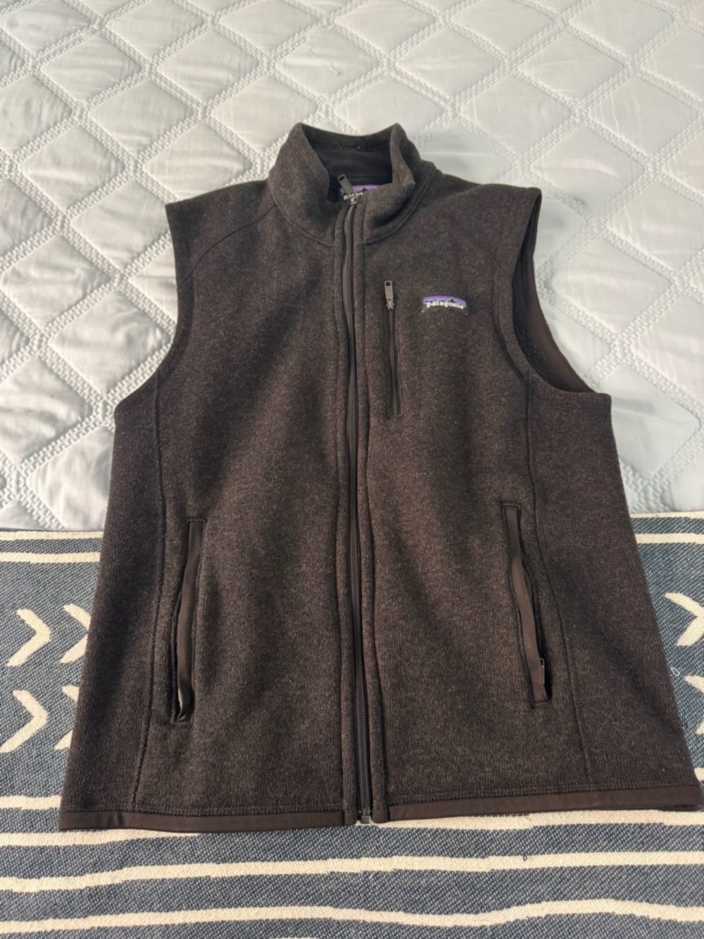 Patagonia Men's Black Fleece Vest